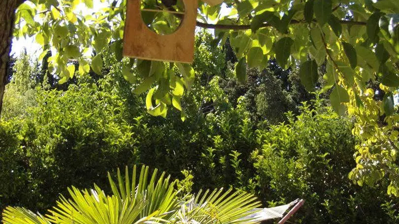 Le pigeonnier - mas batlle_6