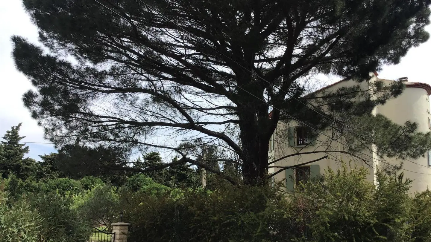 Le grand pigeonnier - mas batlle_13