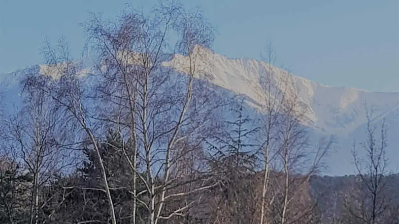 Cote Cour-Terrasse_20