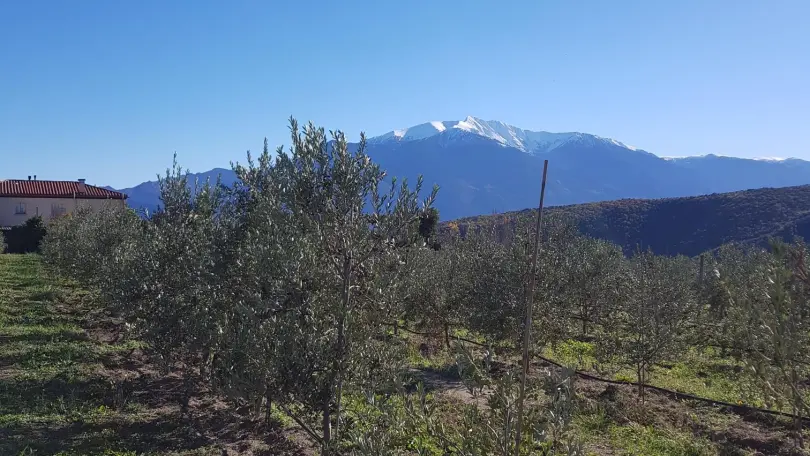 Cote Cour-Terrasse_25