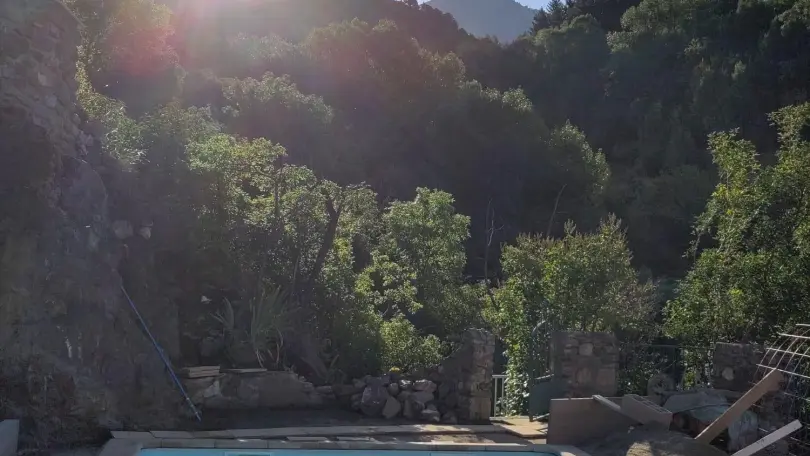 Montserrat Figueras_4