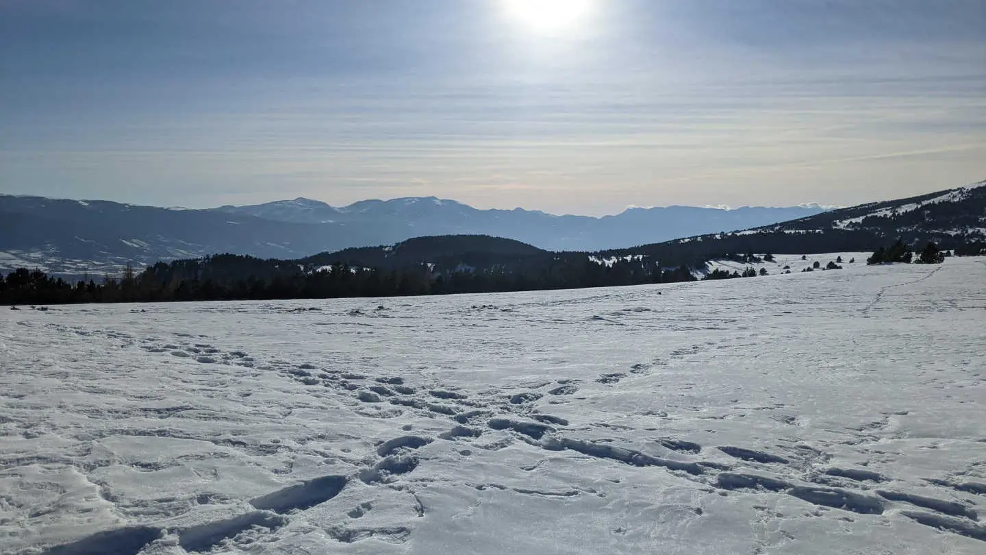 Montserrat Figueras_19