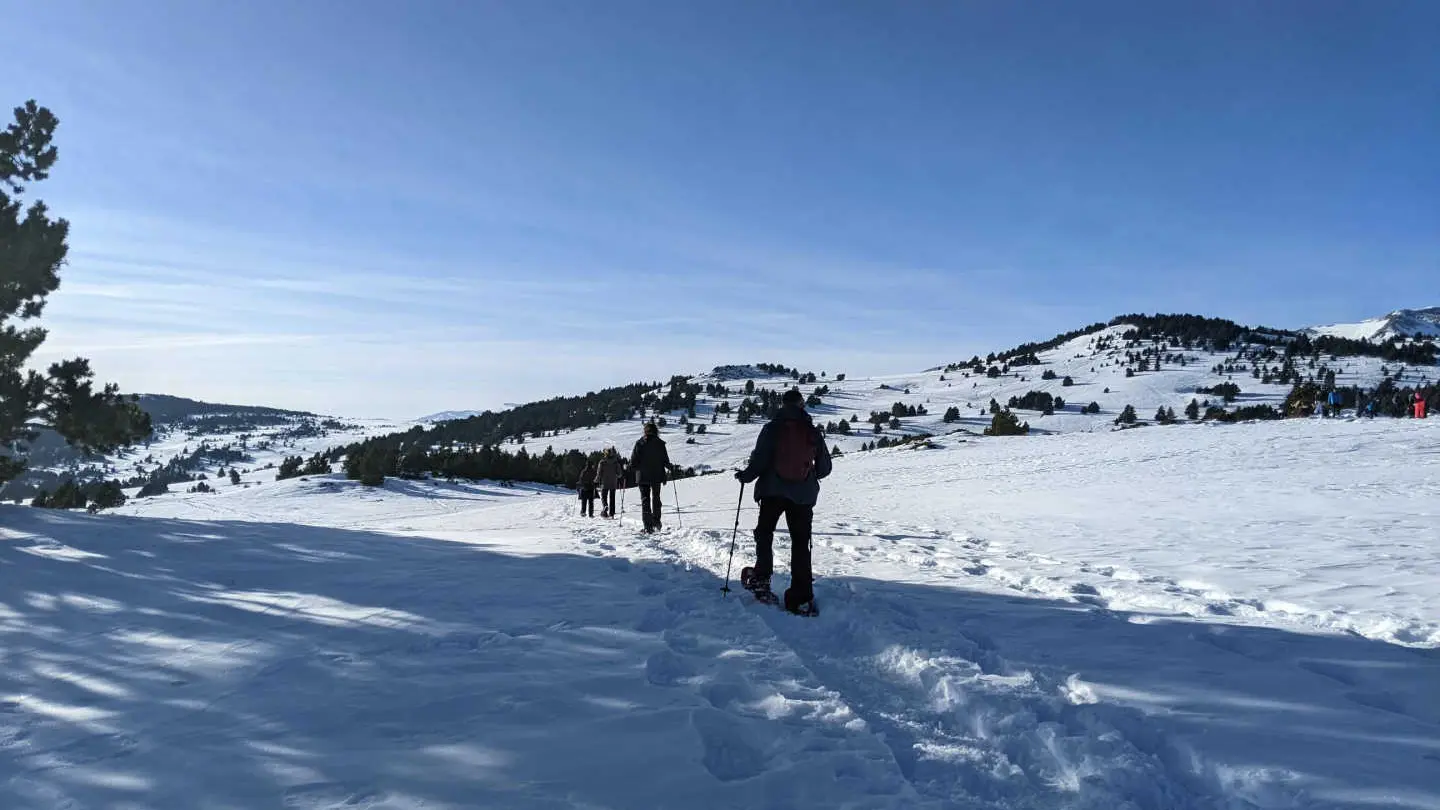 Montserrat Figueras_23