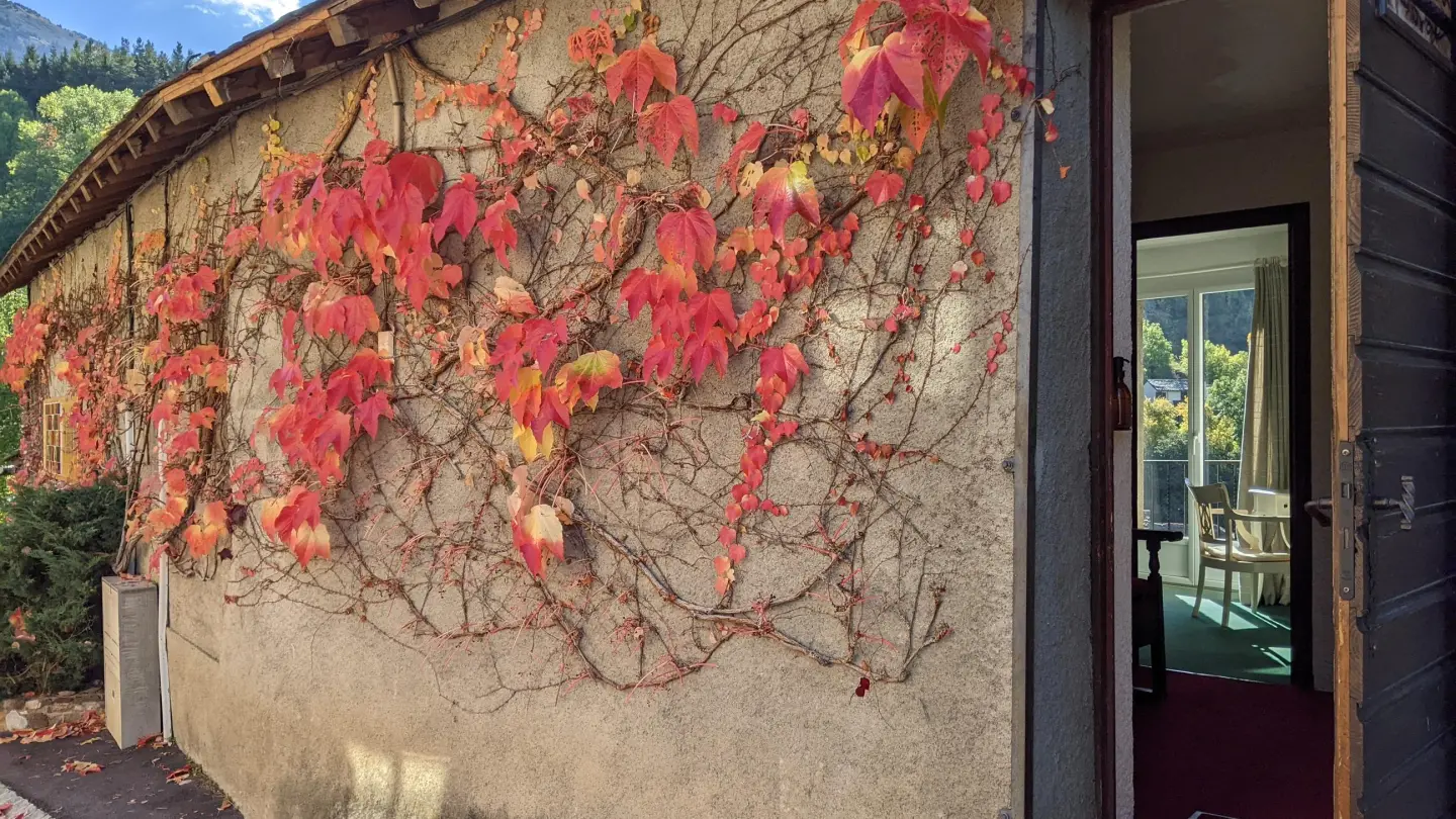 Montserrat Figueras_24