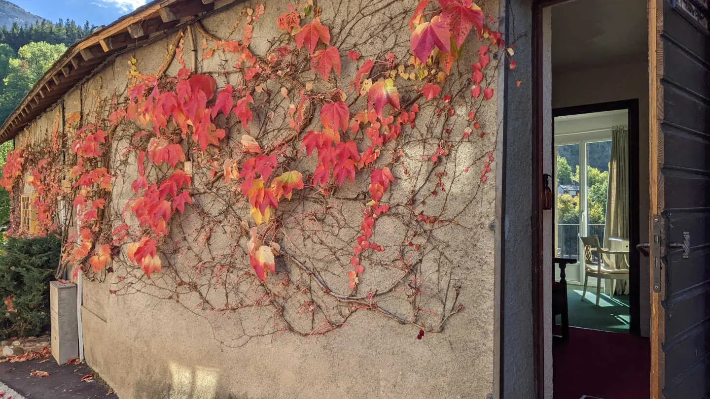 Montserrat Figueras_18