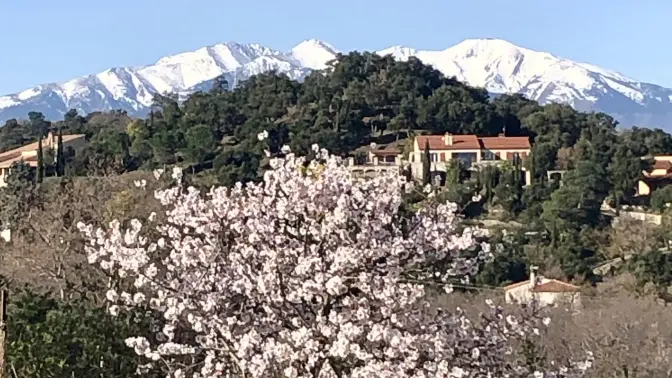 Le Mas des Albères_32