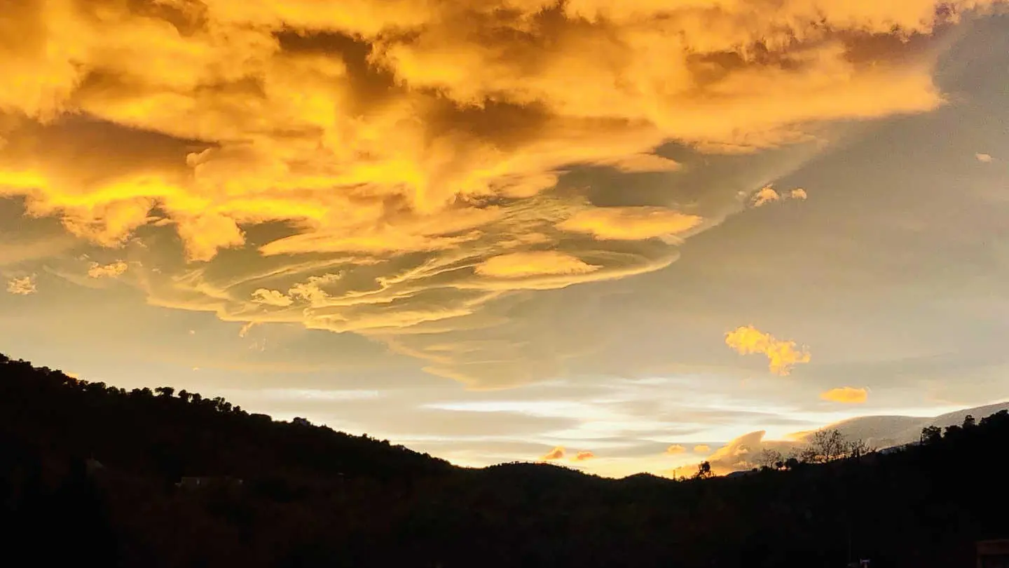 Le Mas des Albères_34