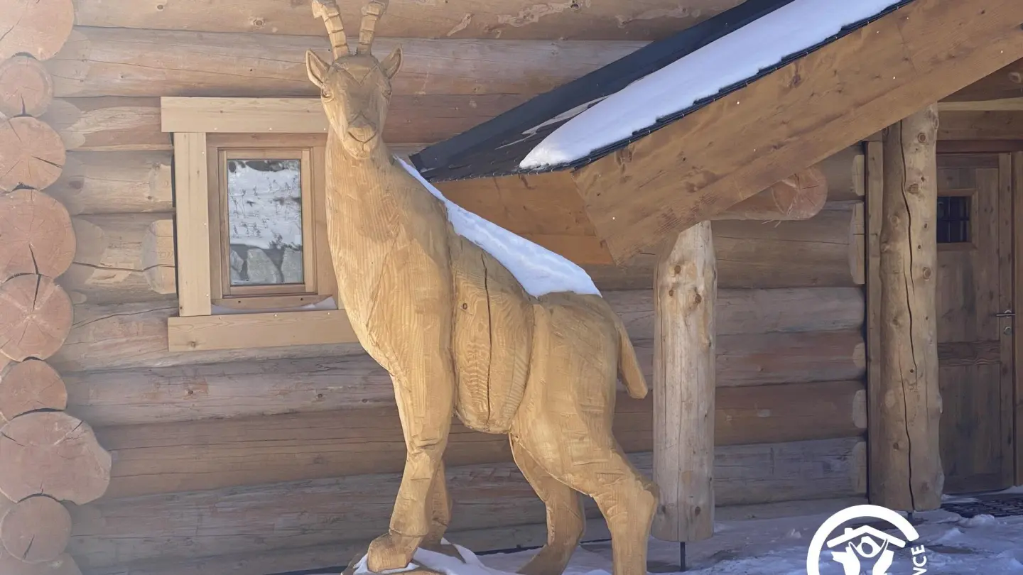 Chalet lodge l'isard_5