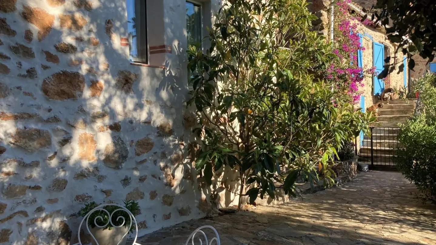 Jasmin au Mas Picagnol_3