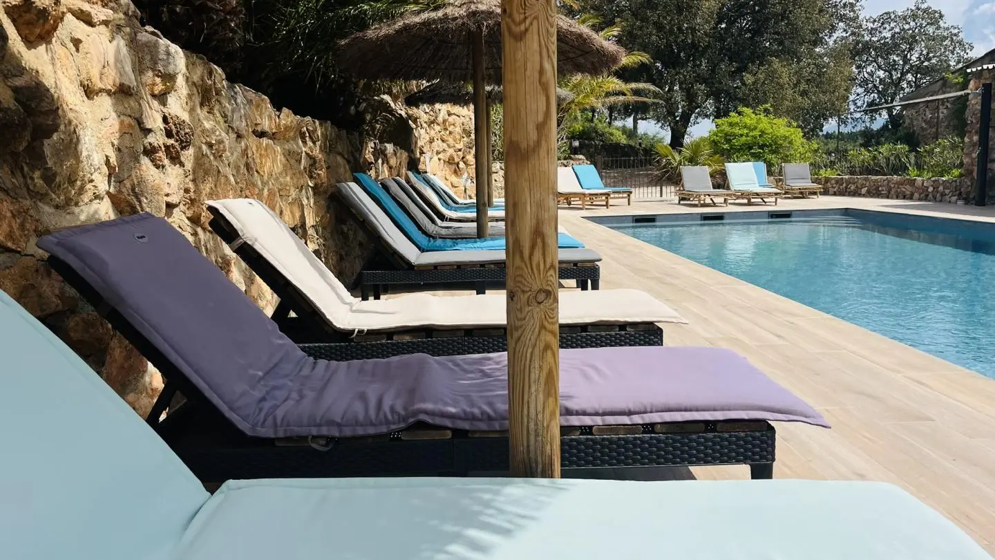 Jasmin au Mas Picagnol_14