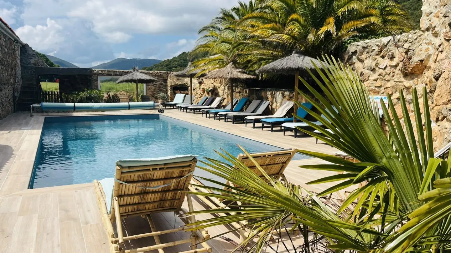 Orchidée au Mas Picagnol_18