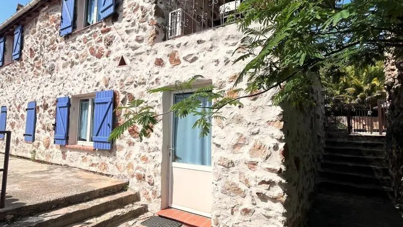 Orchidée au Mas Picagnol_3