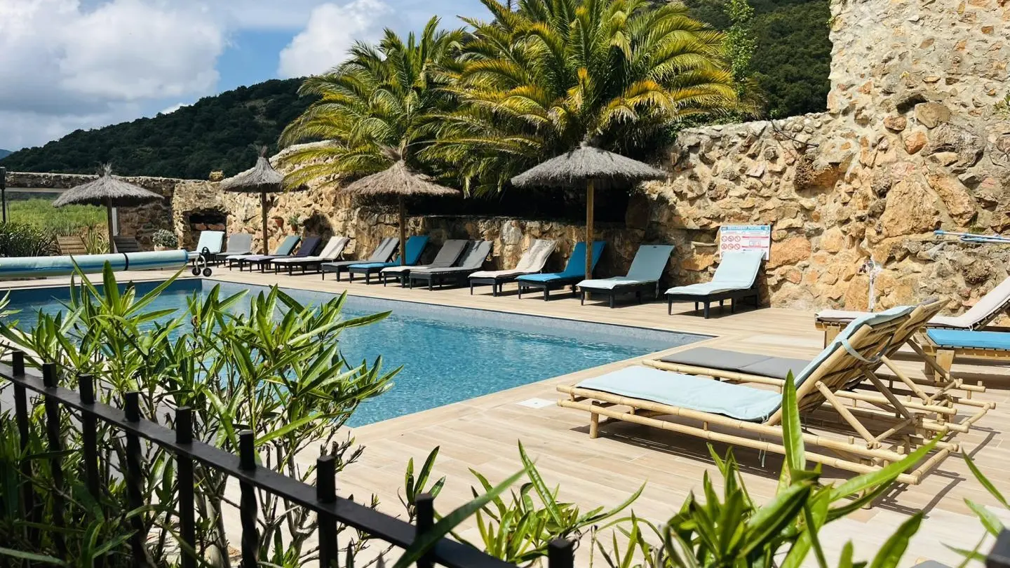 Campsis  au Mas Picagnol_15