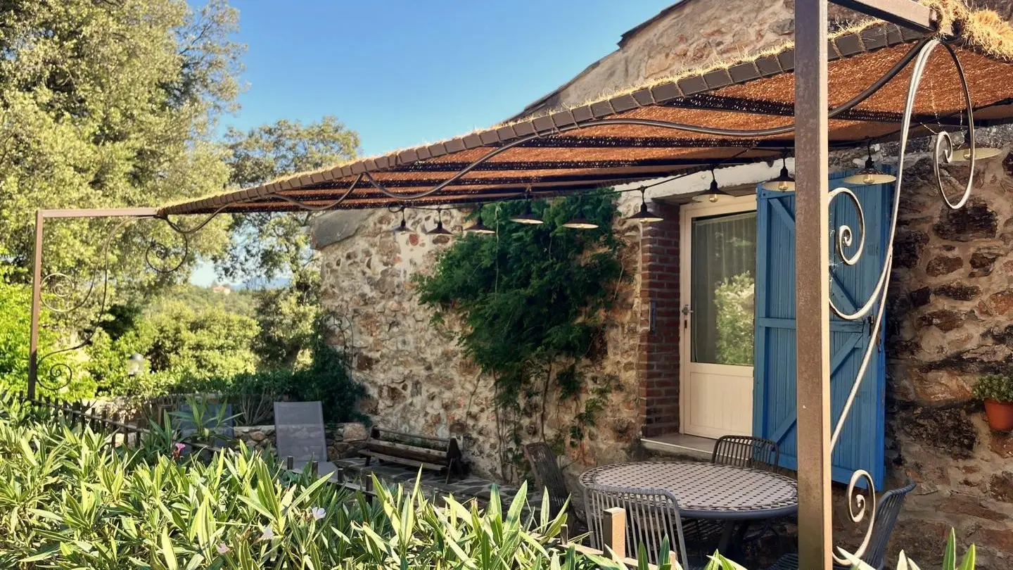 Campsis  au Mas Picagnol_12