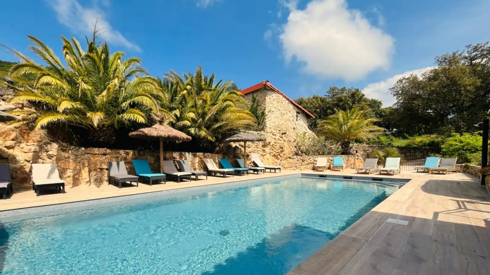 Olivier au Mas Picagnol_4