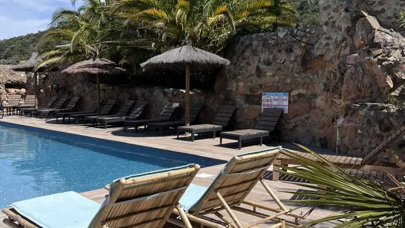 Olivier au Mas Picagnol_14