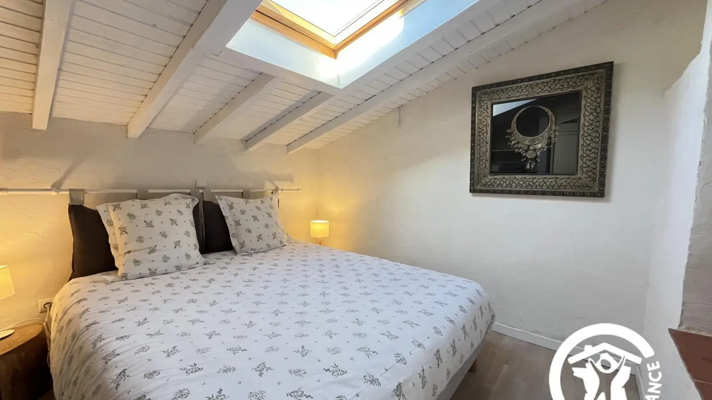 Olivier au Mas Picagnol_8