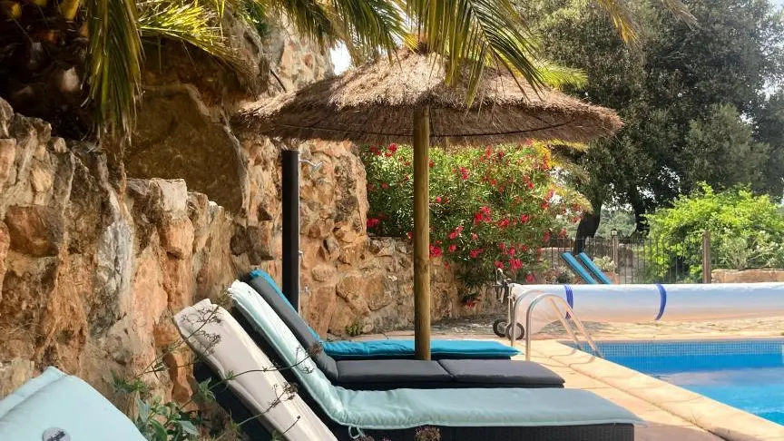 Wisteria au Mas Picagnol_20