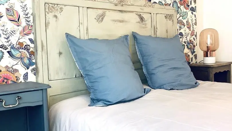 Wisteria au Mas Picagnol_13