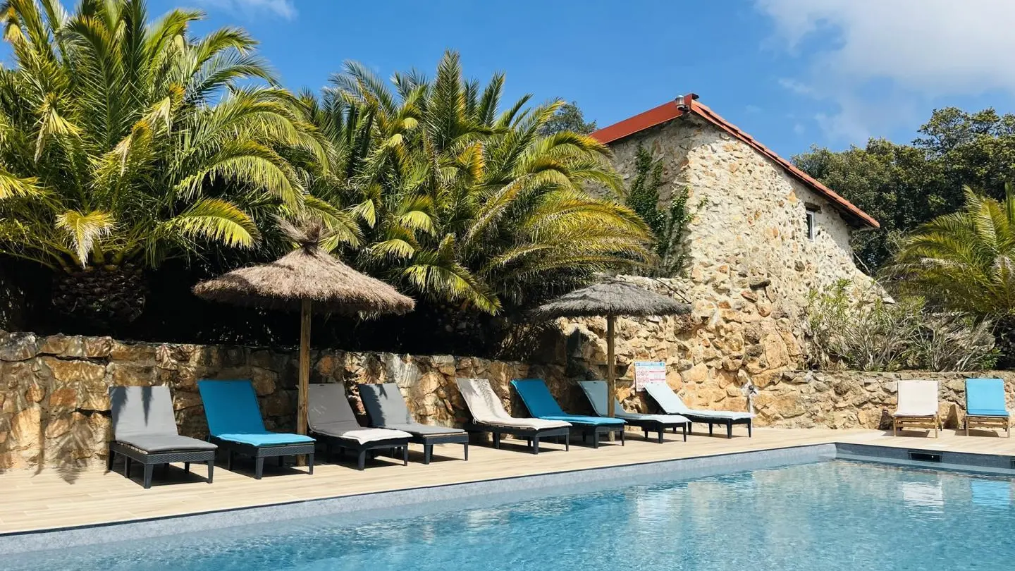 Wisteria au Mas Picagnol_18