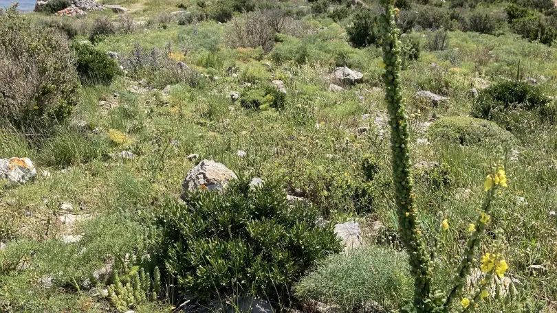 Le Clos de Lisbeth_30