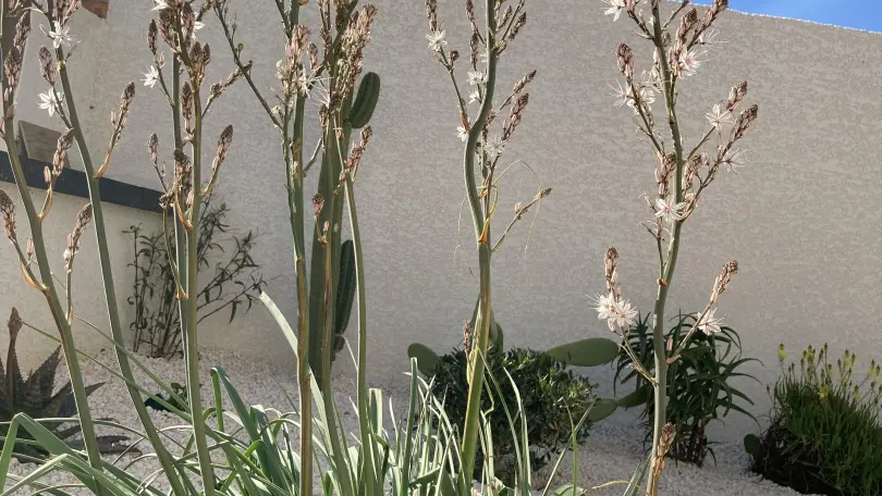 Le Clos de Lisbeth_27