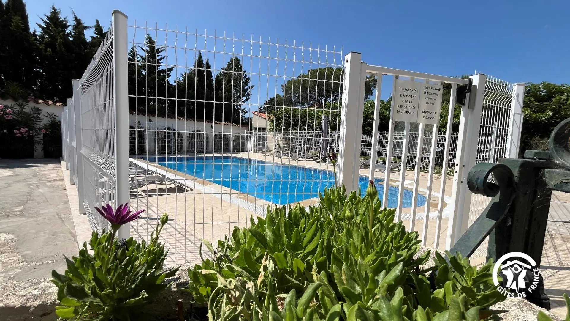 Mas des Palmiers - Gîte Albères_14