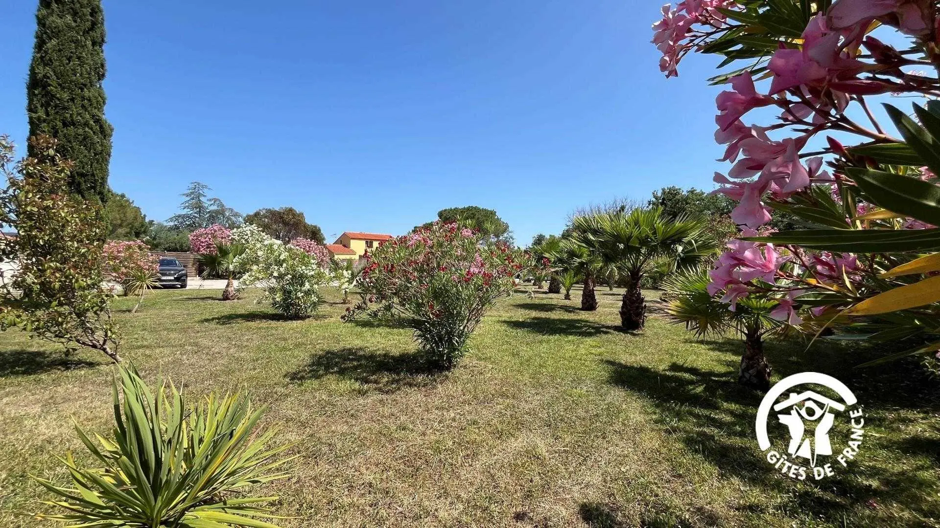 Mas des Palmiers - Gîte Albères_12