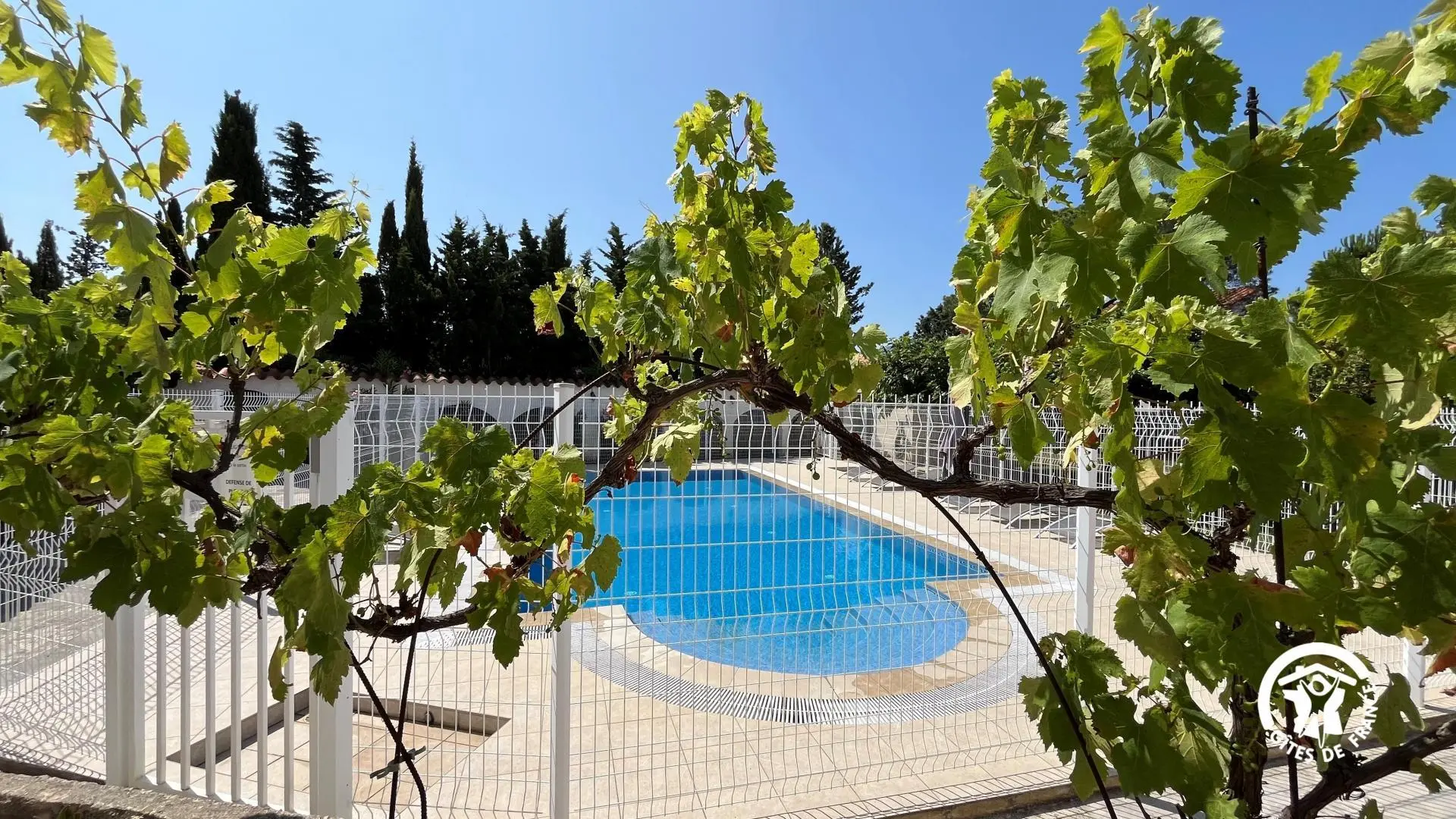 Mas des Palmiers - Gîte Albères_2