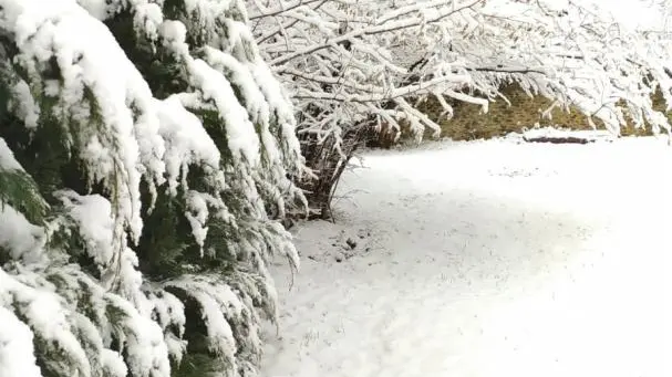 Cal Teixidor Casa_35