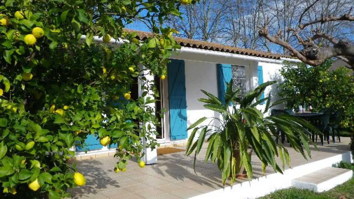 La maison en couleurs_2