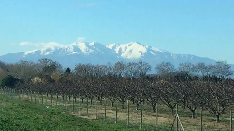 Chez Laurence Olivier_37