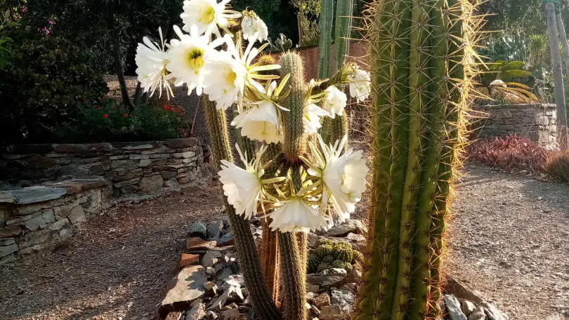 La Villa Andréanne- Gîte Vinya_21