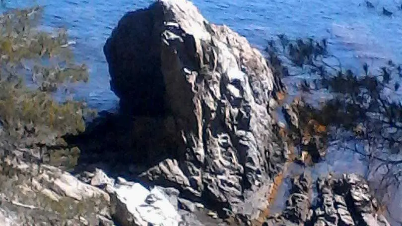 La Villa Andréanne- Gîte Vinya_35