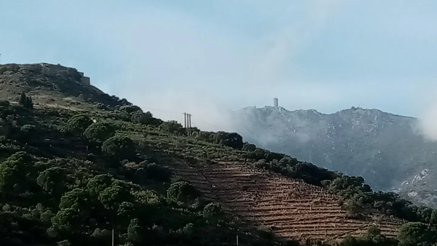 La Villa Andréanne- Gîte Vinya_17