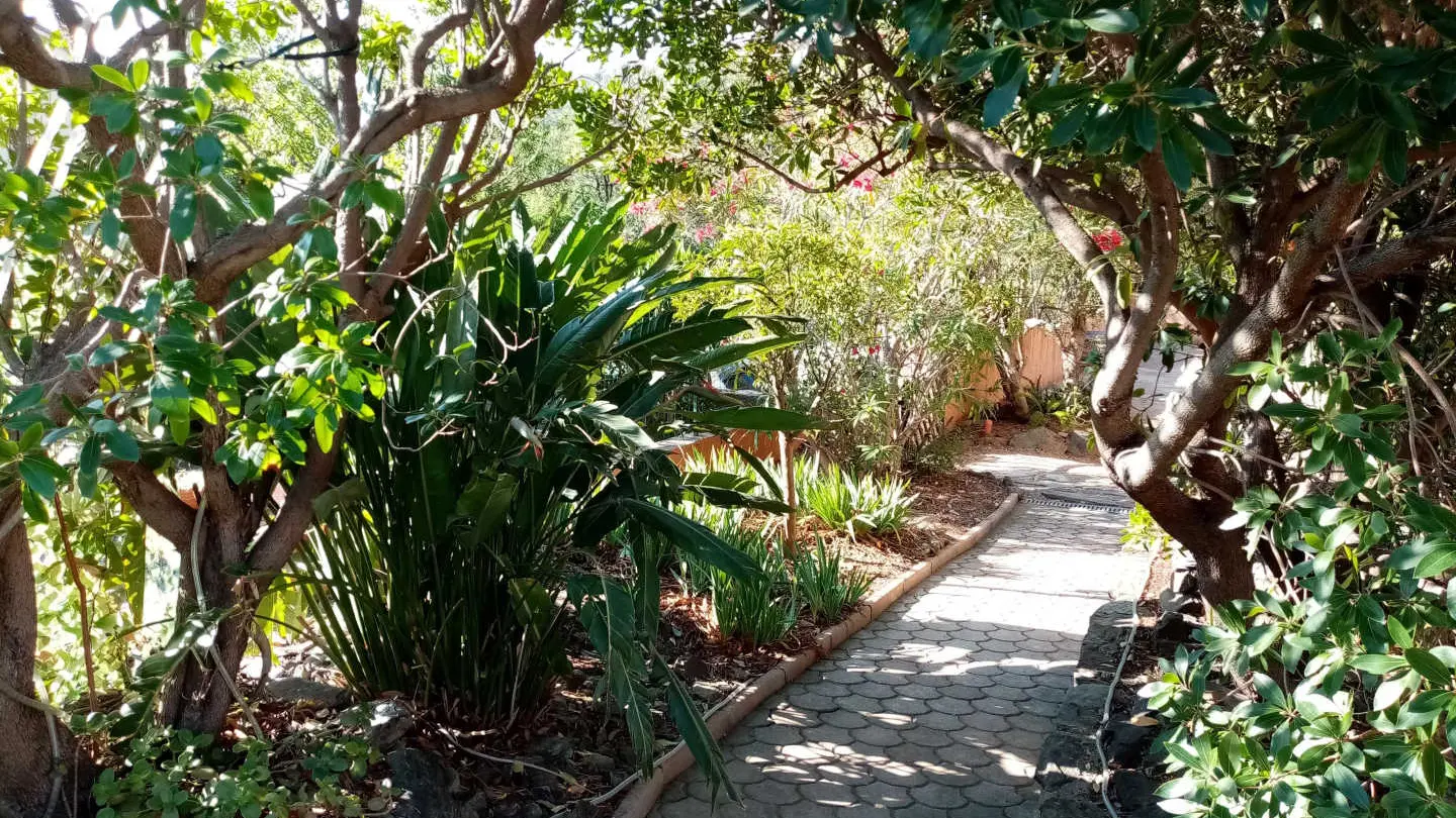 La Villa Andréanne- Gîte Vinya_11