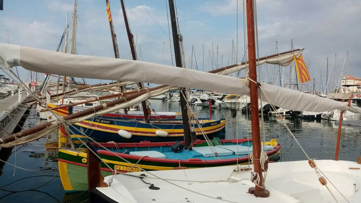 La Villa Andréanne- Gîte Vinya_24