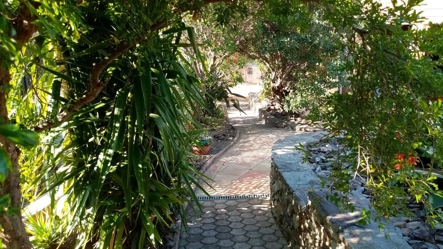 La Villa Andréanne- Gîte Vinya_20