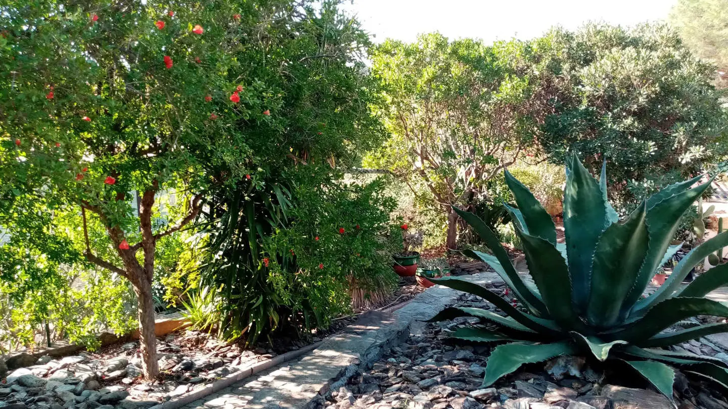 La Villa Andréanne- Gîte Vinya_28