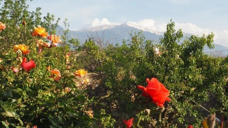 La Villa Catalane_23