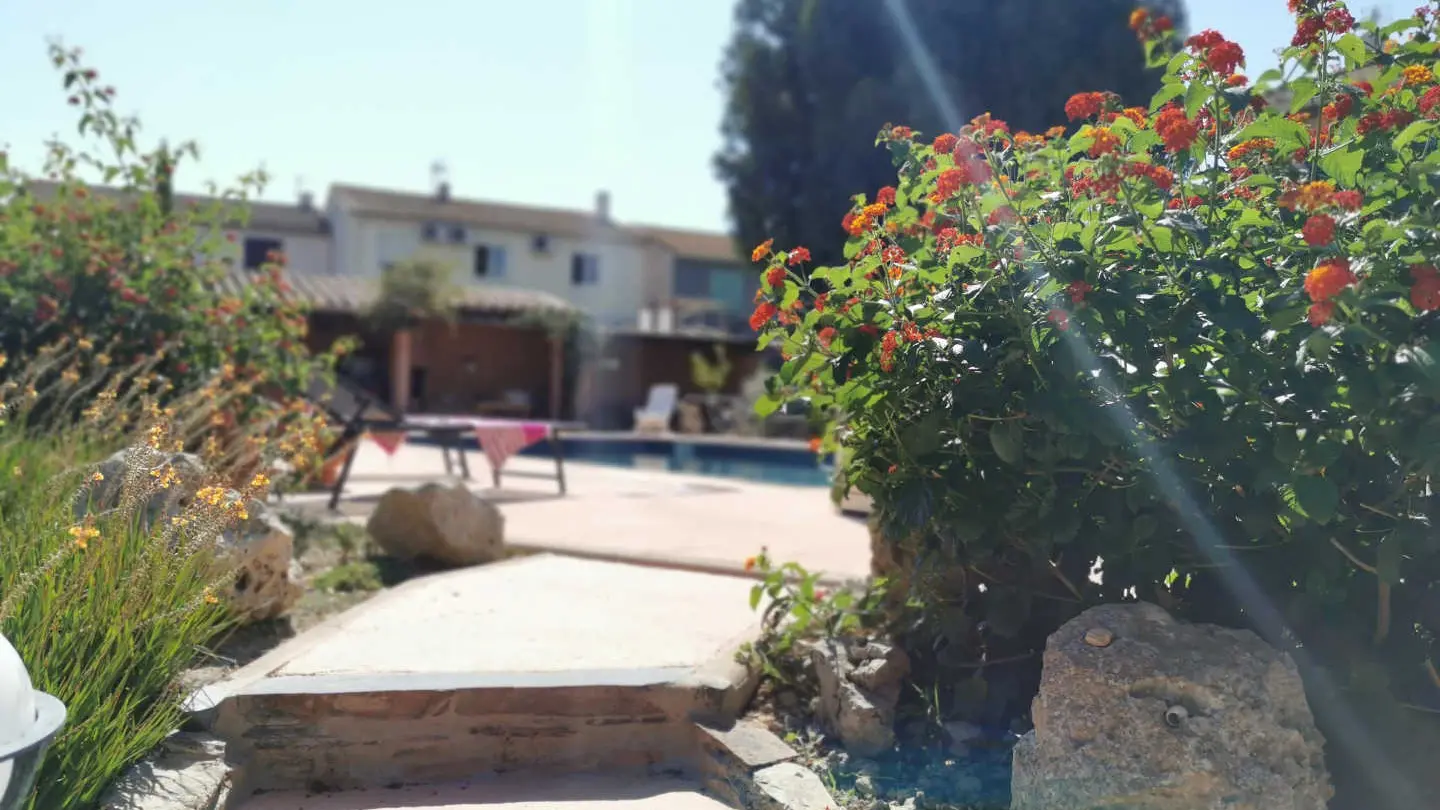 le casot de régis_6