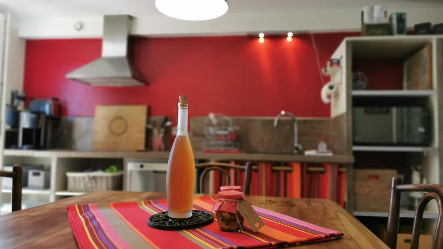 le casot de régis_4