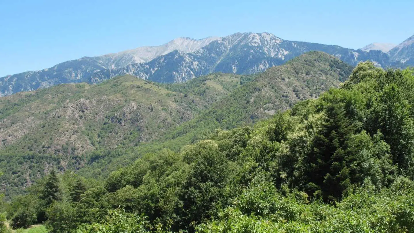 La clé des champs_19