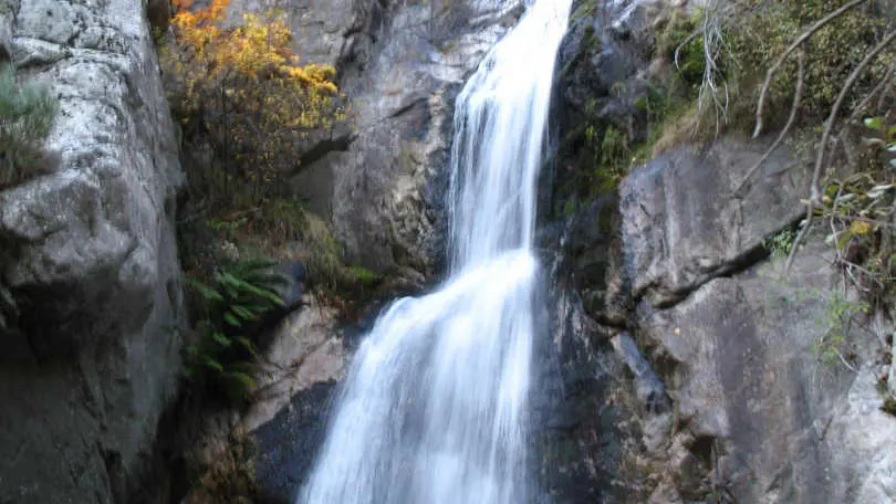 La clé des champs_23