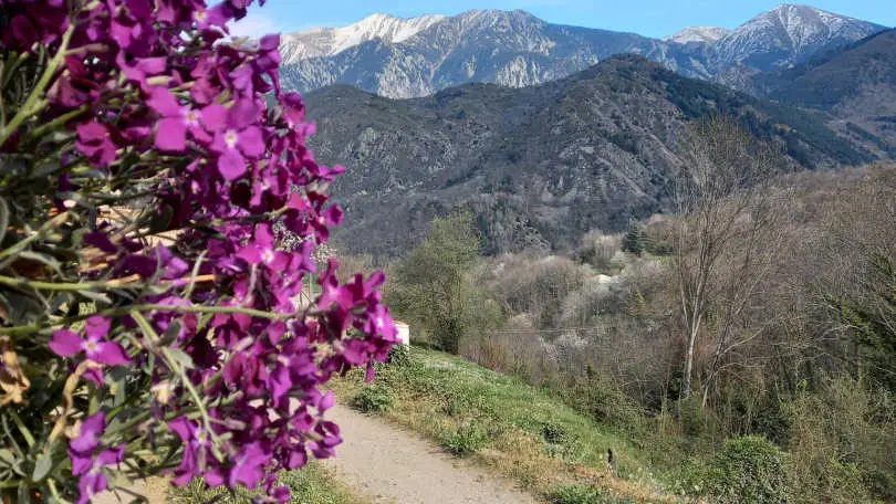 La clé des champs_17