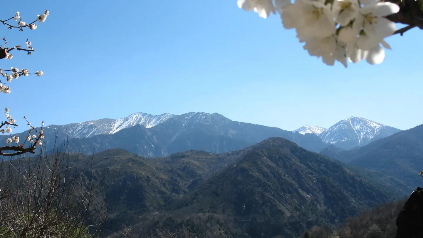 La clé des champs_18