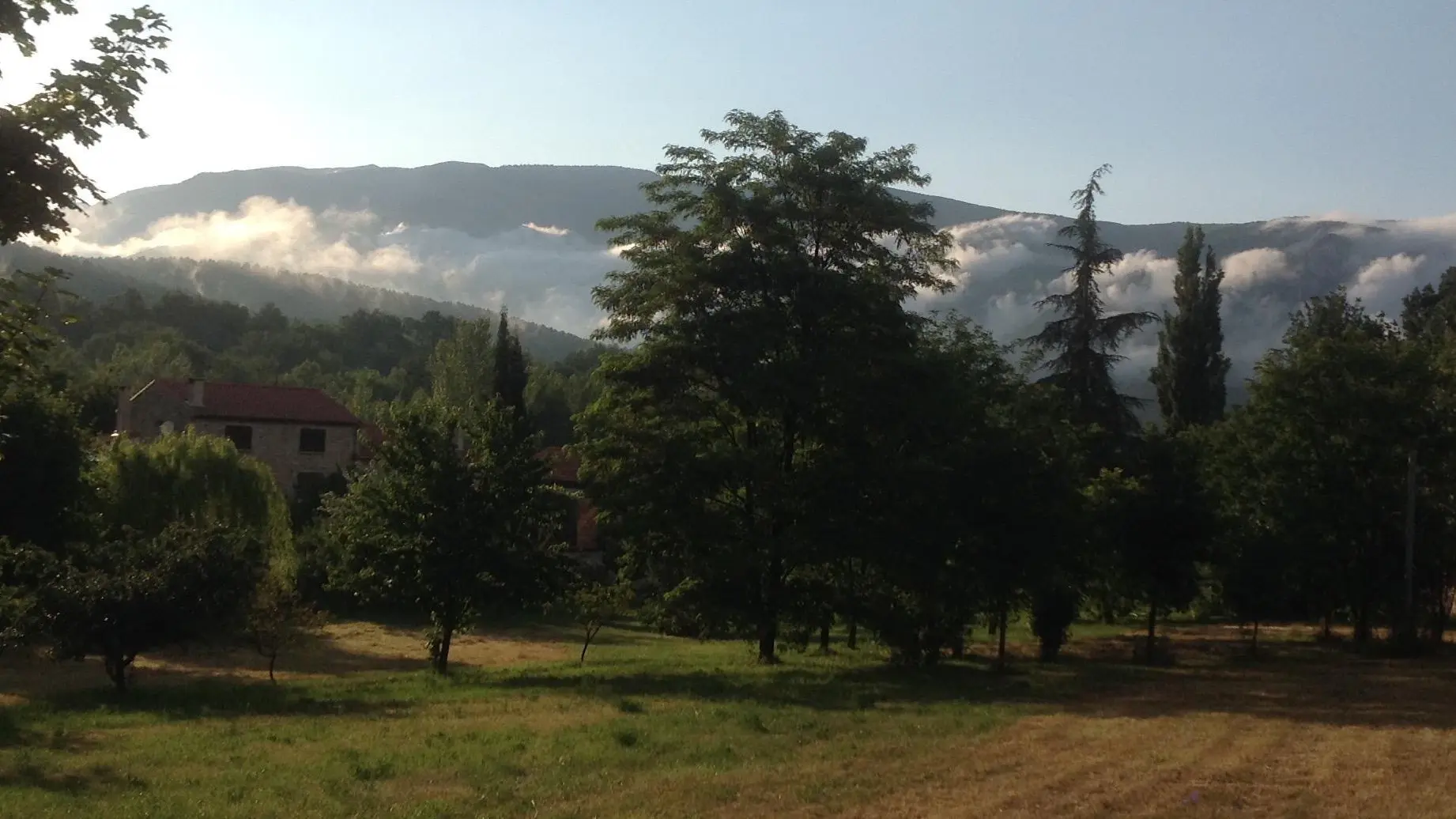 Le chant des oiseaux_22