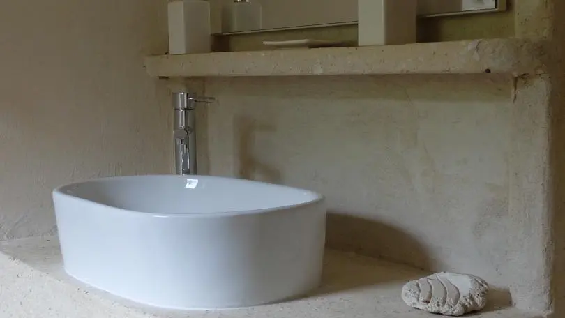 Le chant des oiseaux_9