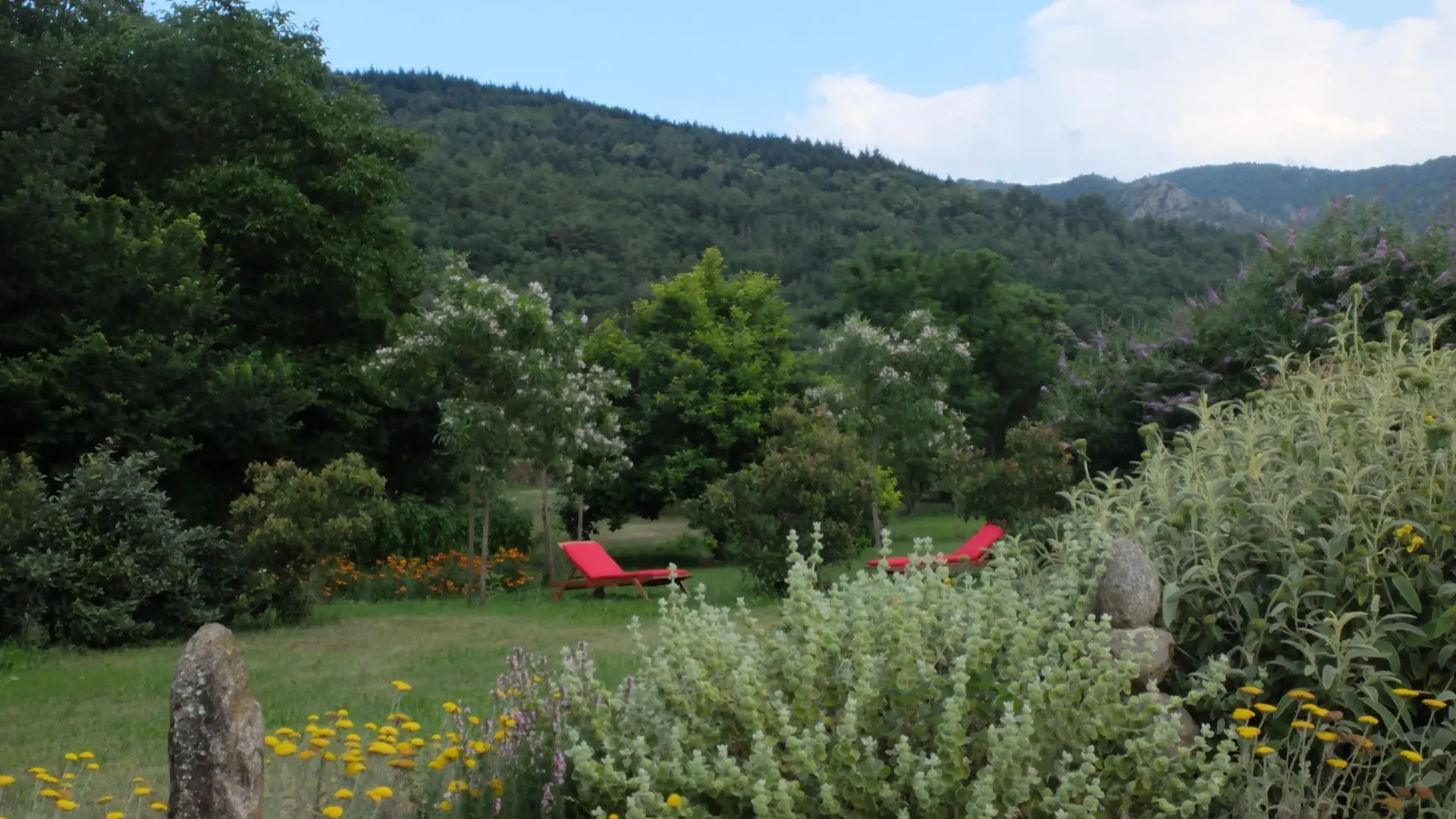 Le chant des oiseaux_17