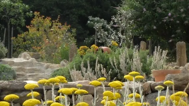 Le chant des oiseaux_15